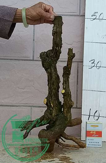 20170403_183907_mh1491218281415.jpg