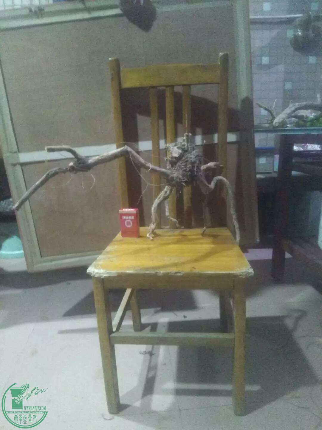 1491240603385.jpeg