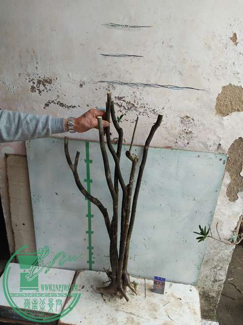 IMG20170403125741.jpg