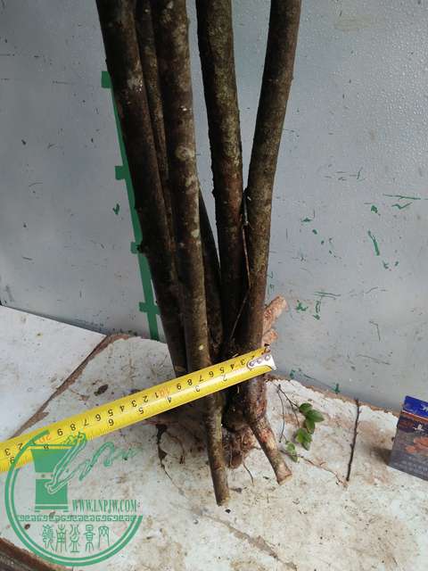 IMG20170403125753.jpg