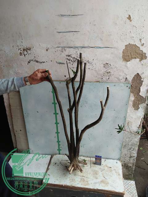IMG20170403125803.jpg