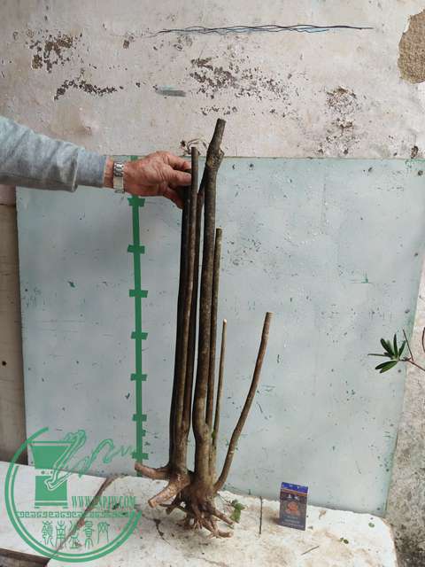 IMG20170403125856.jpg