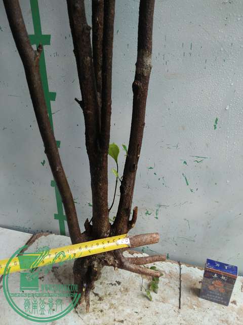 IMG20170403125912.jpg