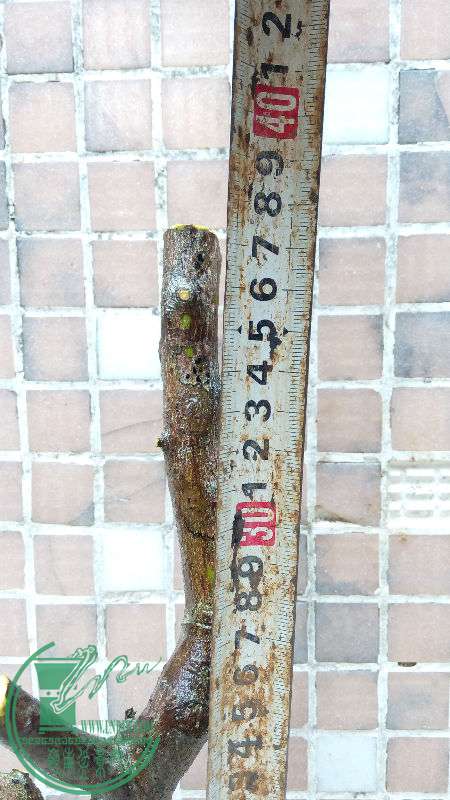 877140