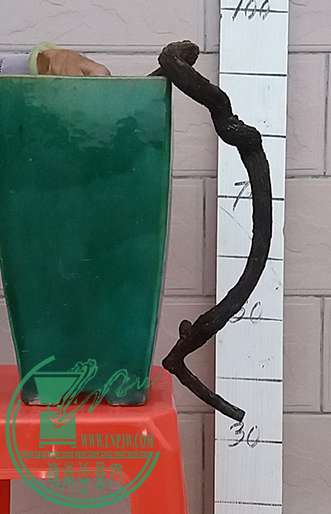 20170405_184152_mh1491391147798.jpg