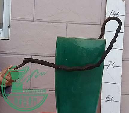 20170405_184114_mh1491391102847.jpg