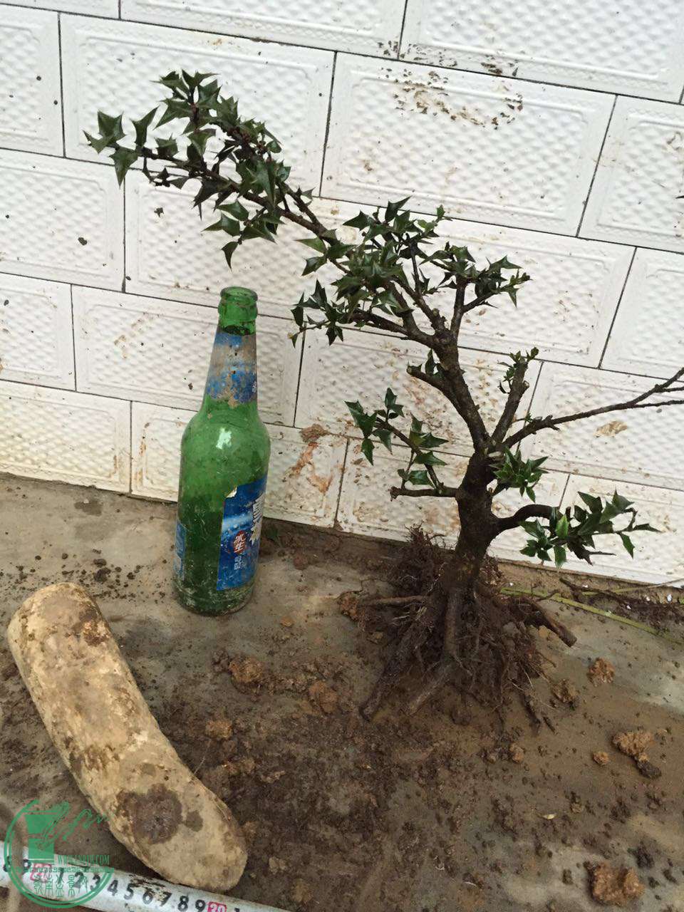 70.jpg