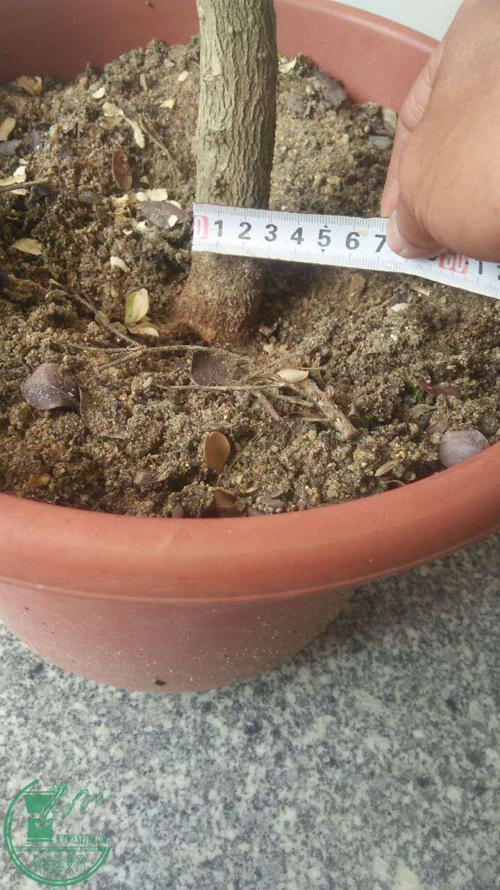 QQͼƬ20170405202044.jpg