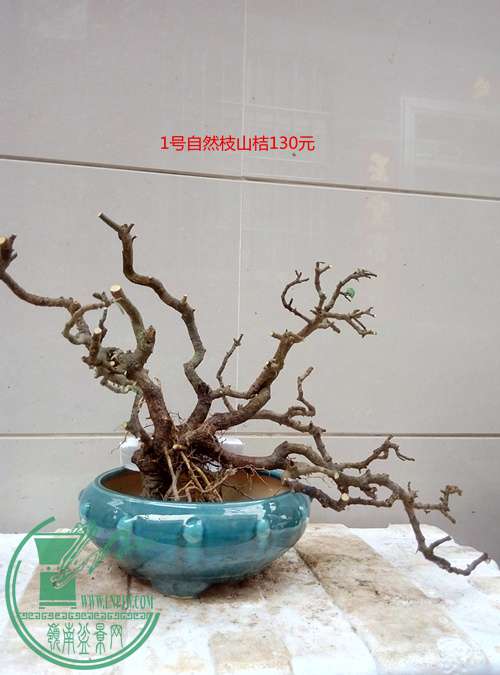 P70405-164634_.jpg