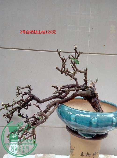 P70405-163727_.jpg