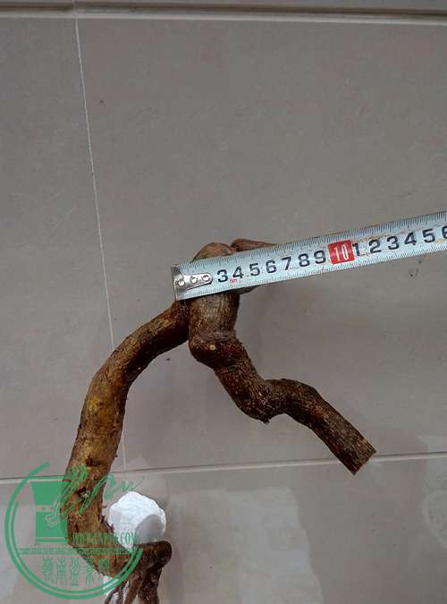 P70405-162857_.jpg