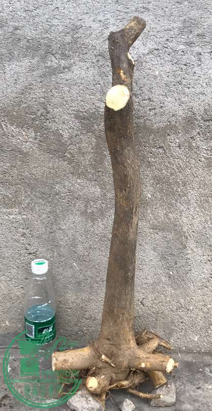877483