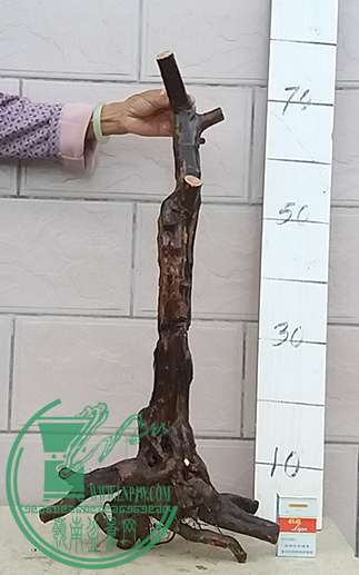 20170406_180133_mh1491476723062.jpg