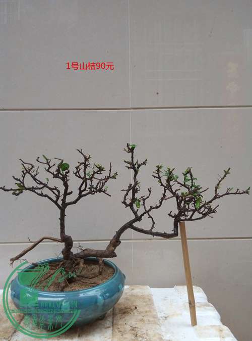 P70407-164551_.jpg