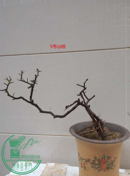 P70407-170220_.jpg