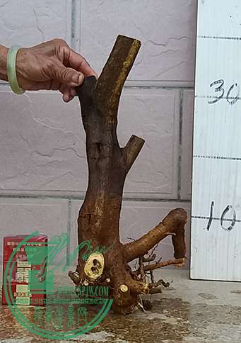20170407_181641_mh1491563323543.jpg