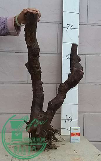 20170406_180359_mh1491562800698.jpg