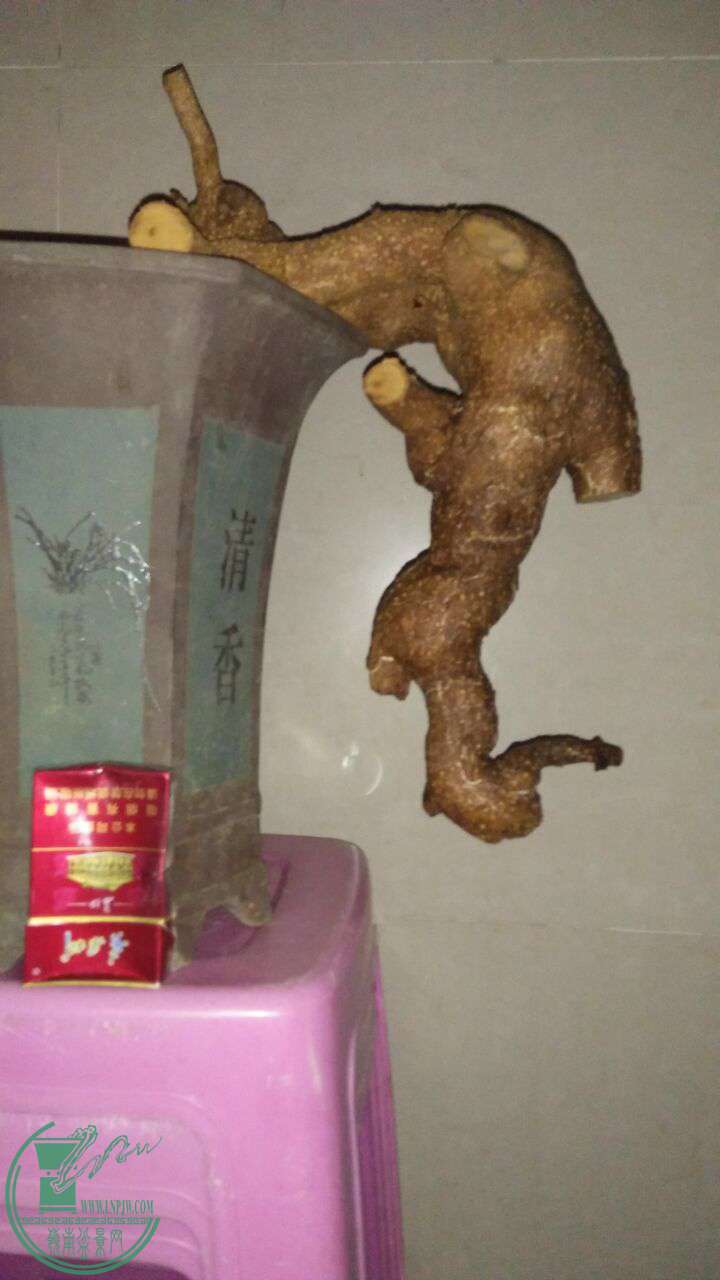 QQͼƬ20170407195907.jpg