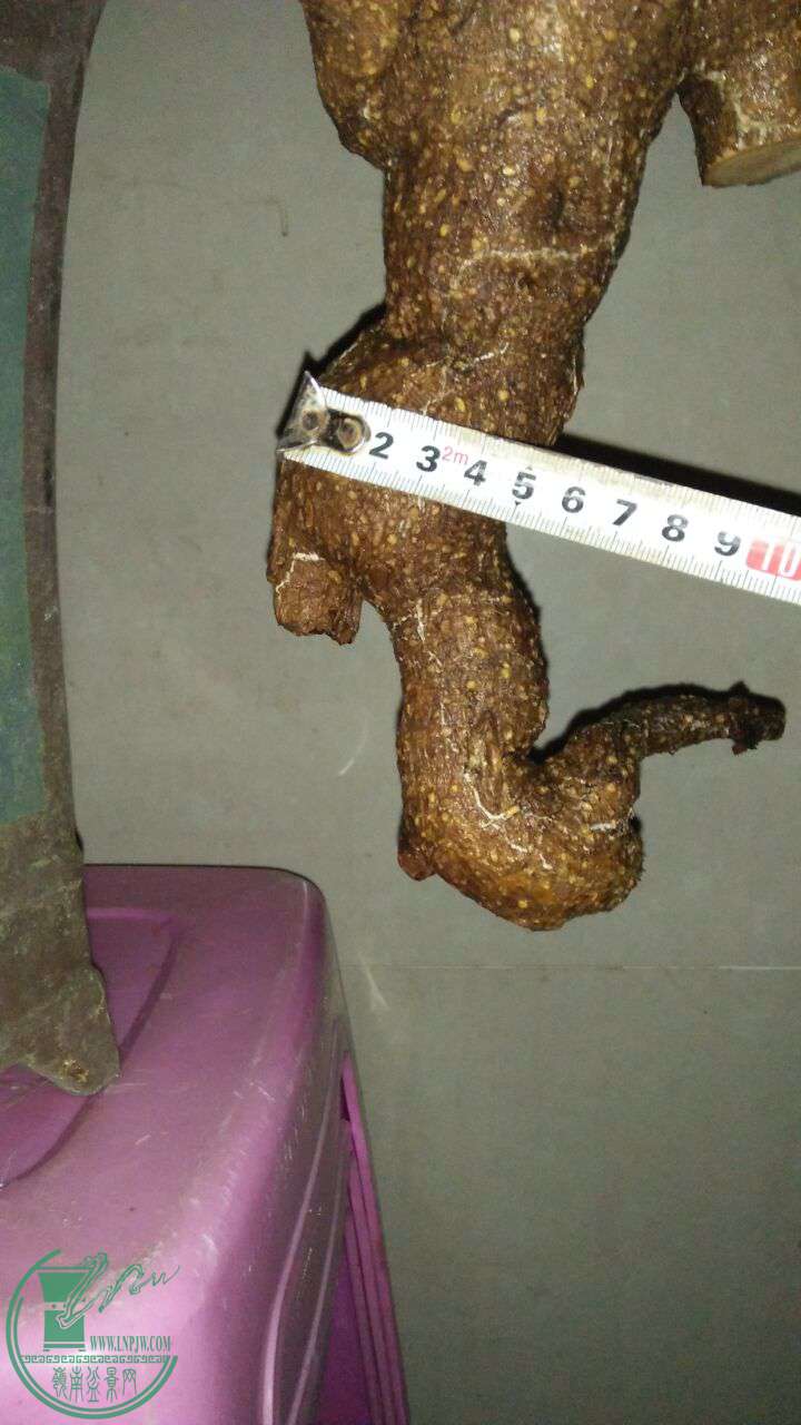 QQͼƬ20170407195830.jpg