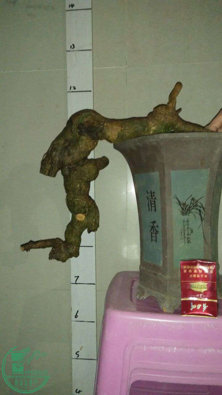 QQͼƬ20170407195819.jpg