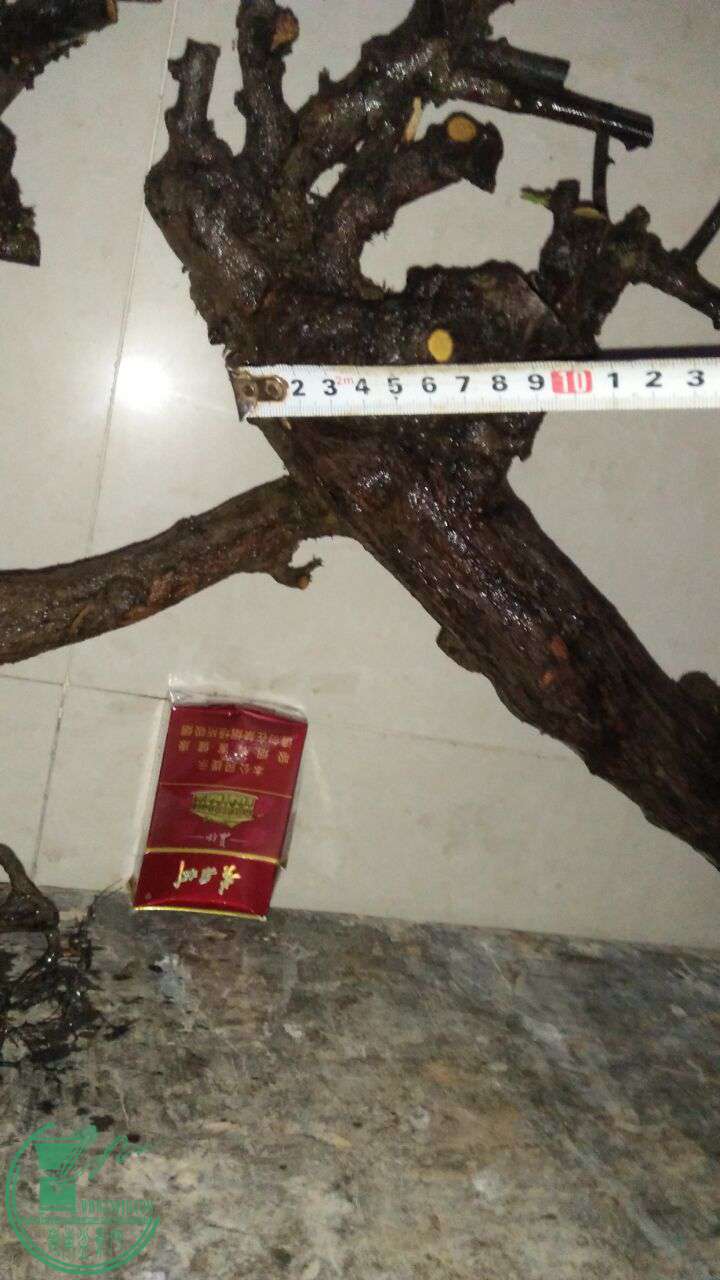 QQͼƬ20170407195926.jpg
