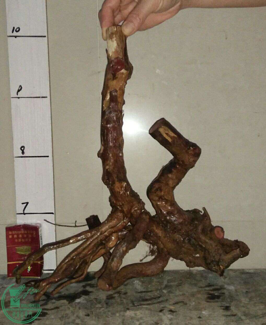 QQͼƬ20170407195721.jpg