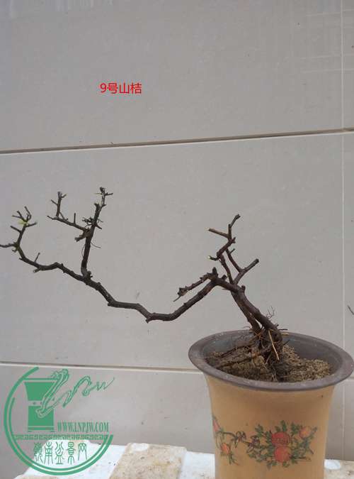 P70407-170220_.jpg