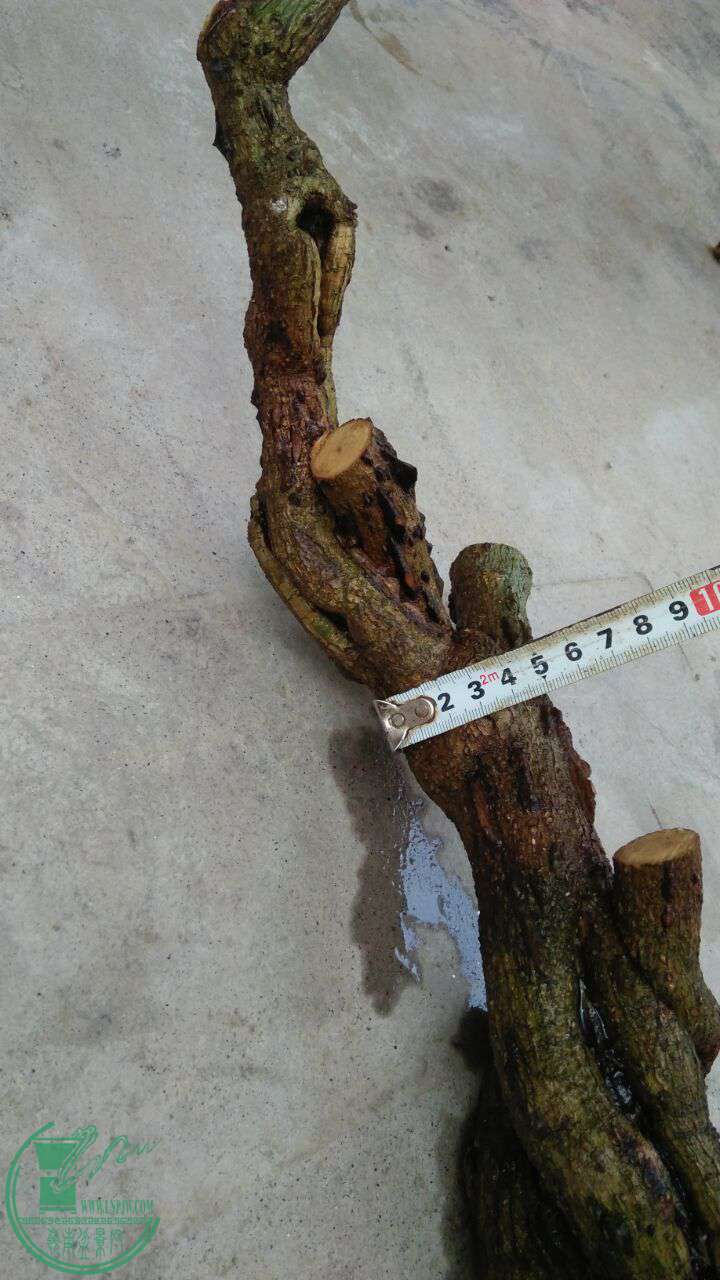 QQͼƬ20170408201238.jpg