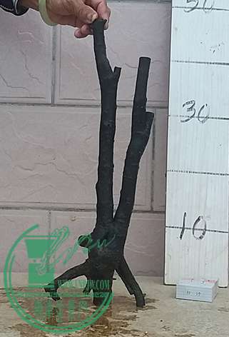20170409_180445_mh1491735425174.jpg