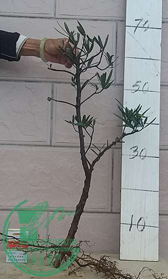 20170409_175913_mh1491735183531.jpg
