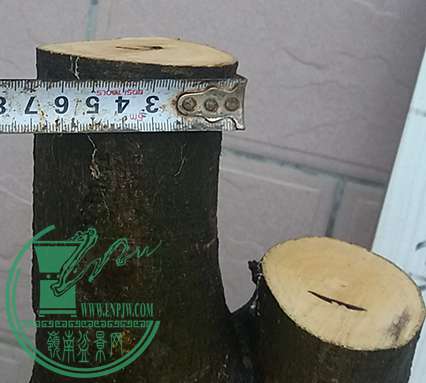 20170409_181118_mh1491735645852.jpg