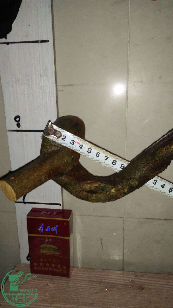 QQͼƬ20170409194541.jpg