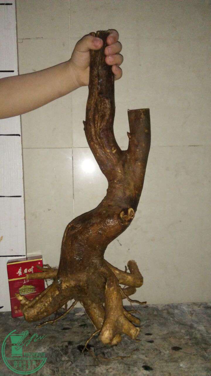 QQͼƬ20170409194433.jpg