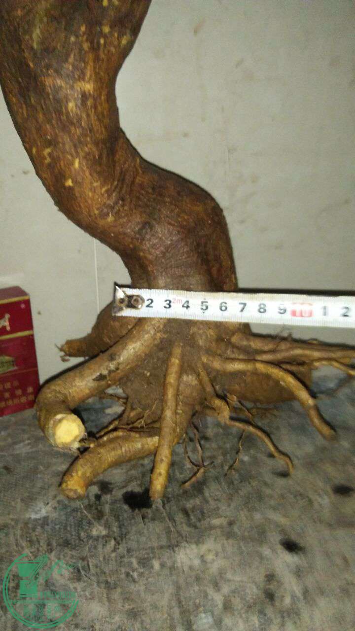 QQͼƬ20170409194439.jpg