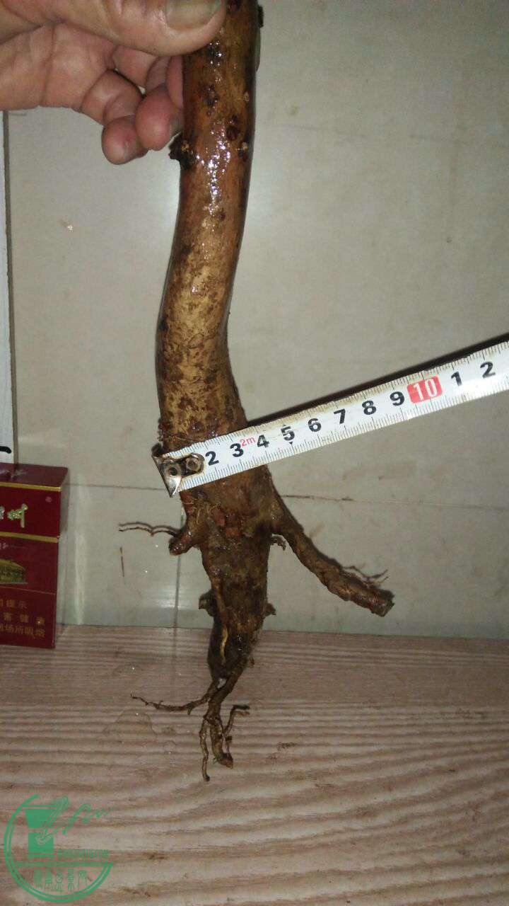 QQͼƬ20170409194629.jpg