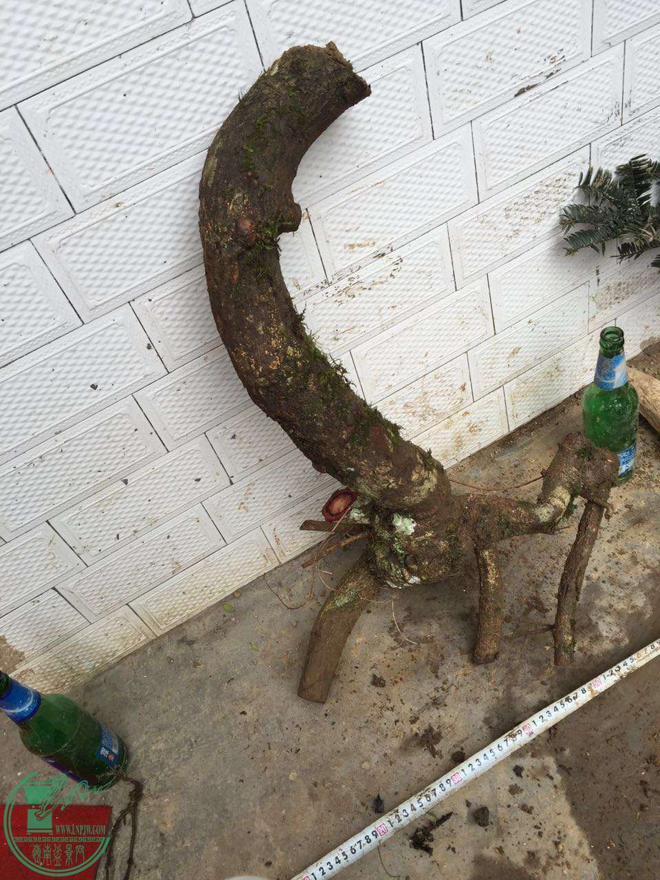 35.jpg