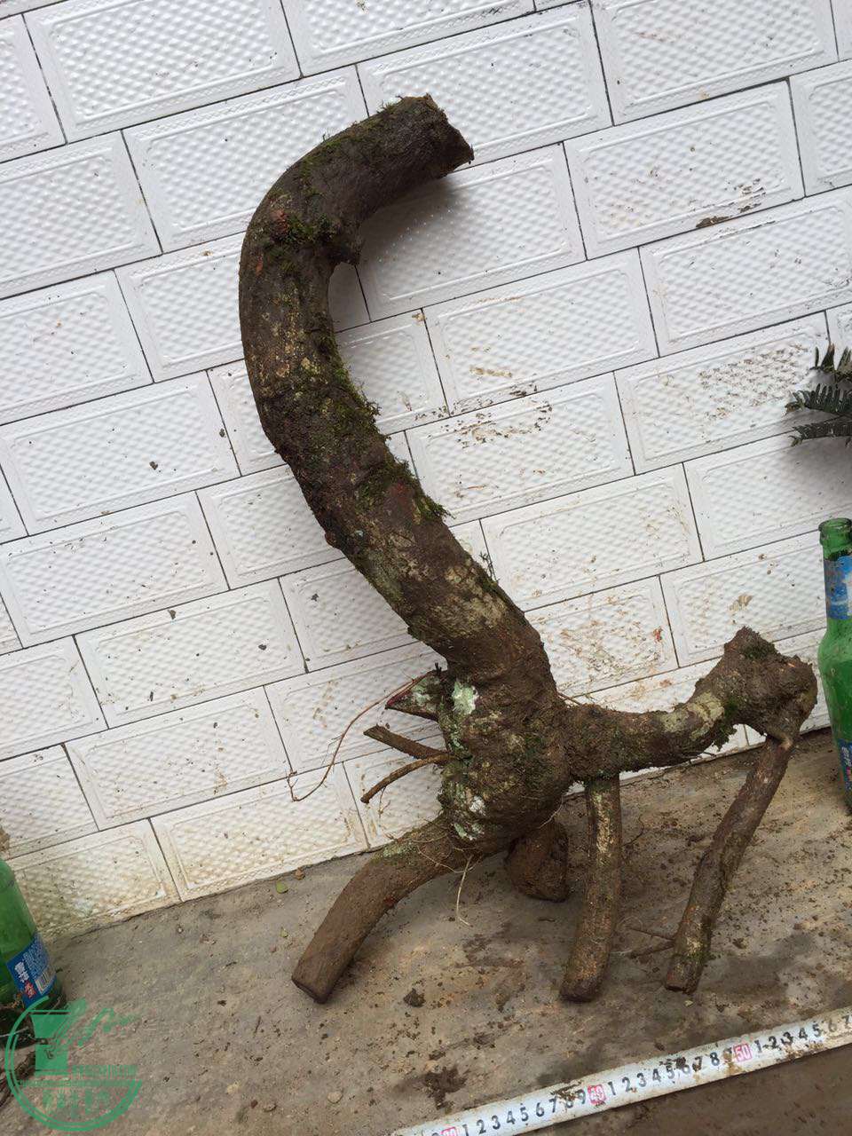 34.jpg
