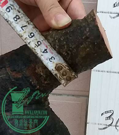 20170410_182752_mh1491823231744.jpg