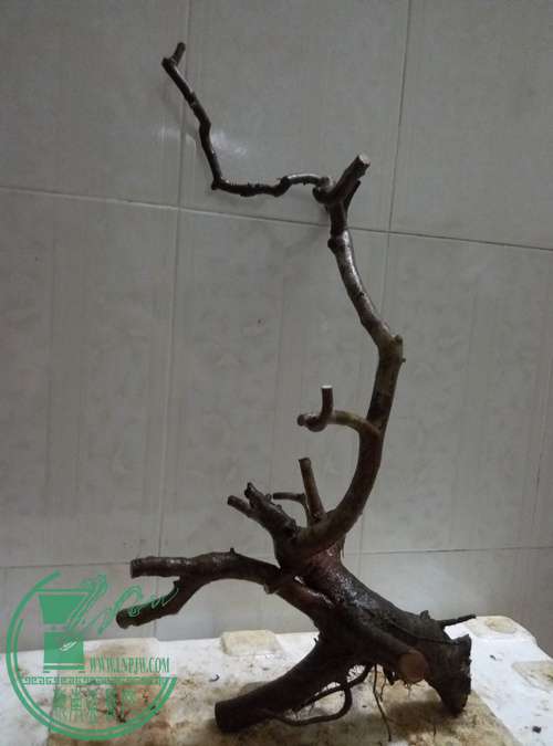 P70410-192109_.jpg