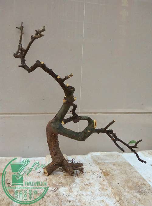 P70409-145835_.jpg