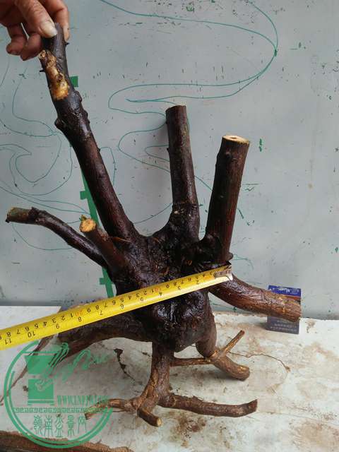 IMG20170410100157.jpg