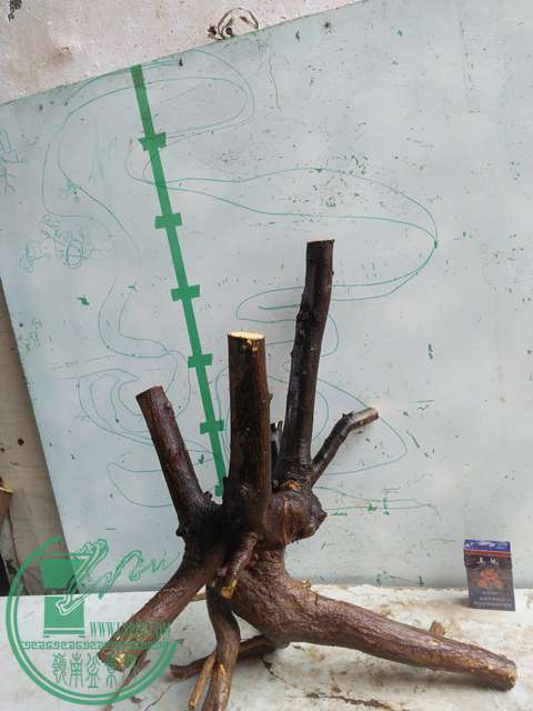 IMG20170410100217.jpg