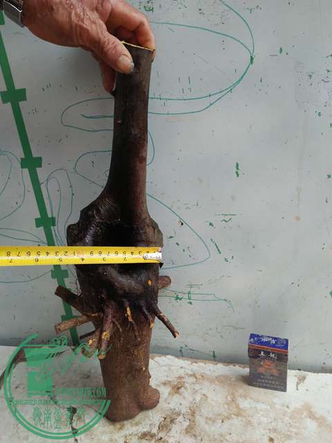 IMG20170410100454.jpg