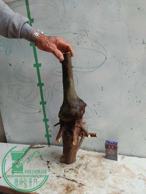 IMG20170410100459.jpg