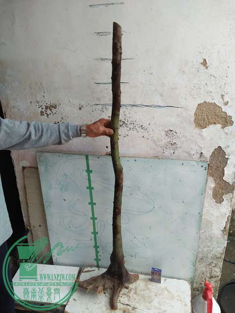 IMG20170410100515.jpg