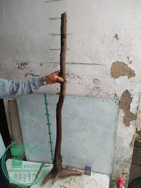 IMG20170410100529.jpg