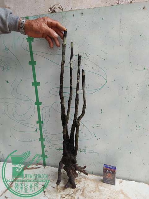 IMG20170410100731.jpg