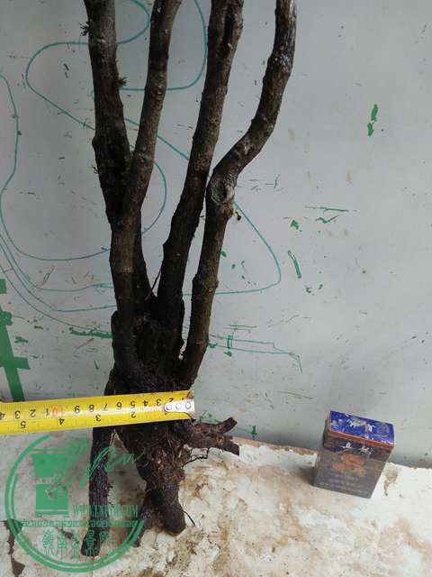 IMG20170410100739.jpg