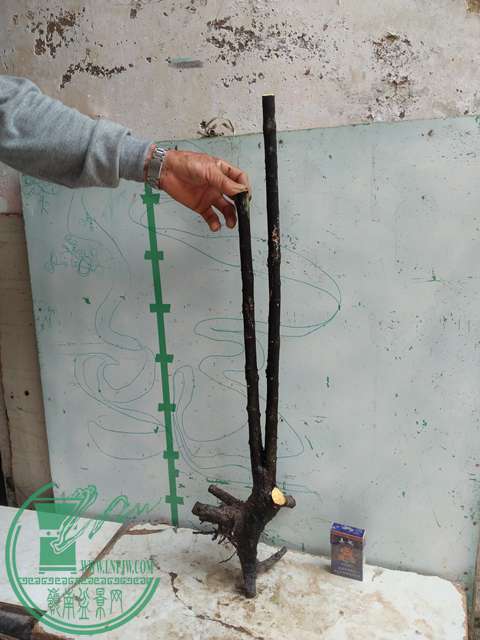 IMG20170410100756.jpg