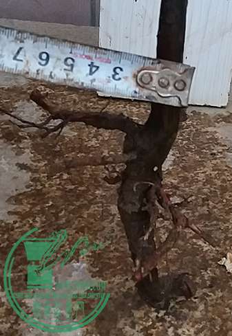 20170411_180108_mh1491907686054.jpg